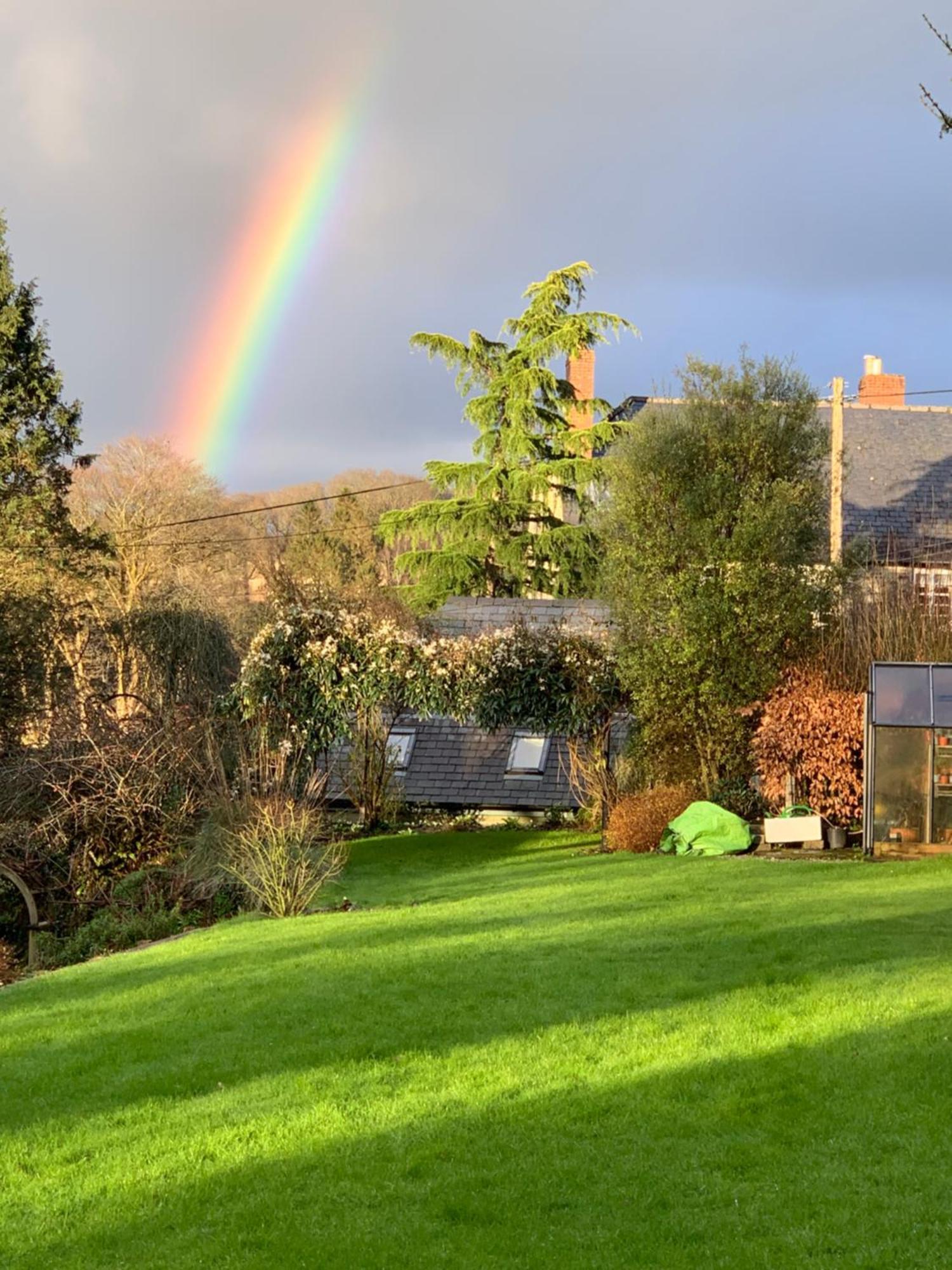 Maristow Cottages, Overlook Tamar Valley Dartmoor بلايموث المظهر الخارجي الصورة