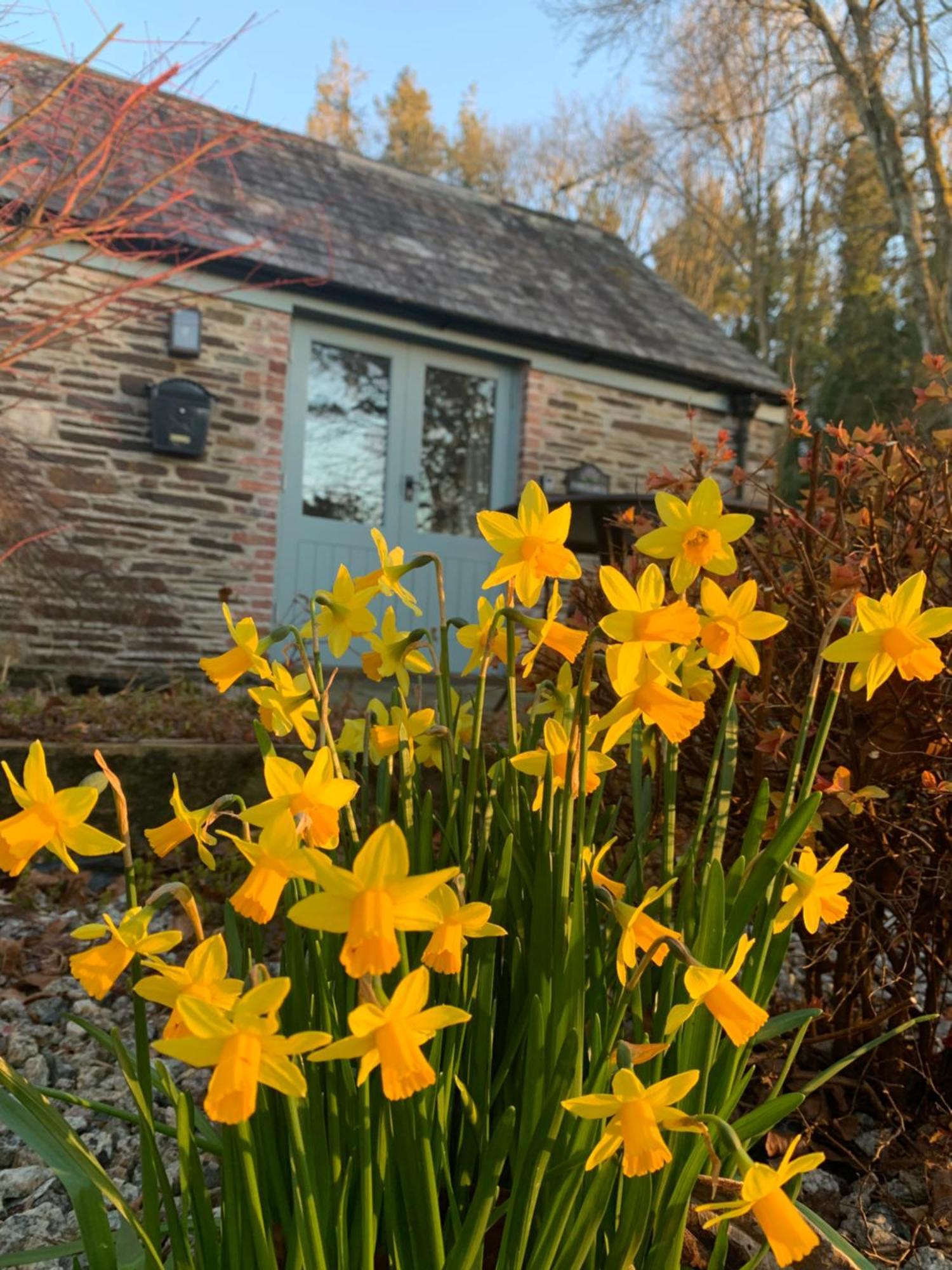 Maristow Cottages, Overlook Tamar Valley Dartmoor بلايموث المظهر الخارجي الصورة
