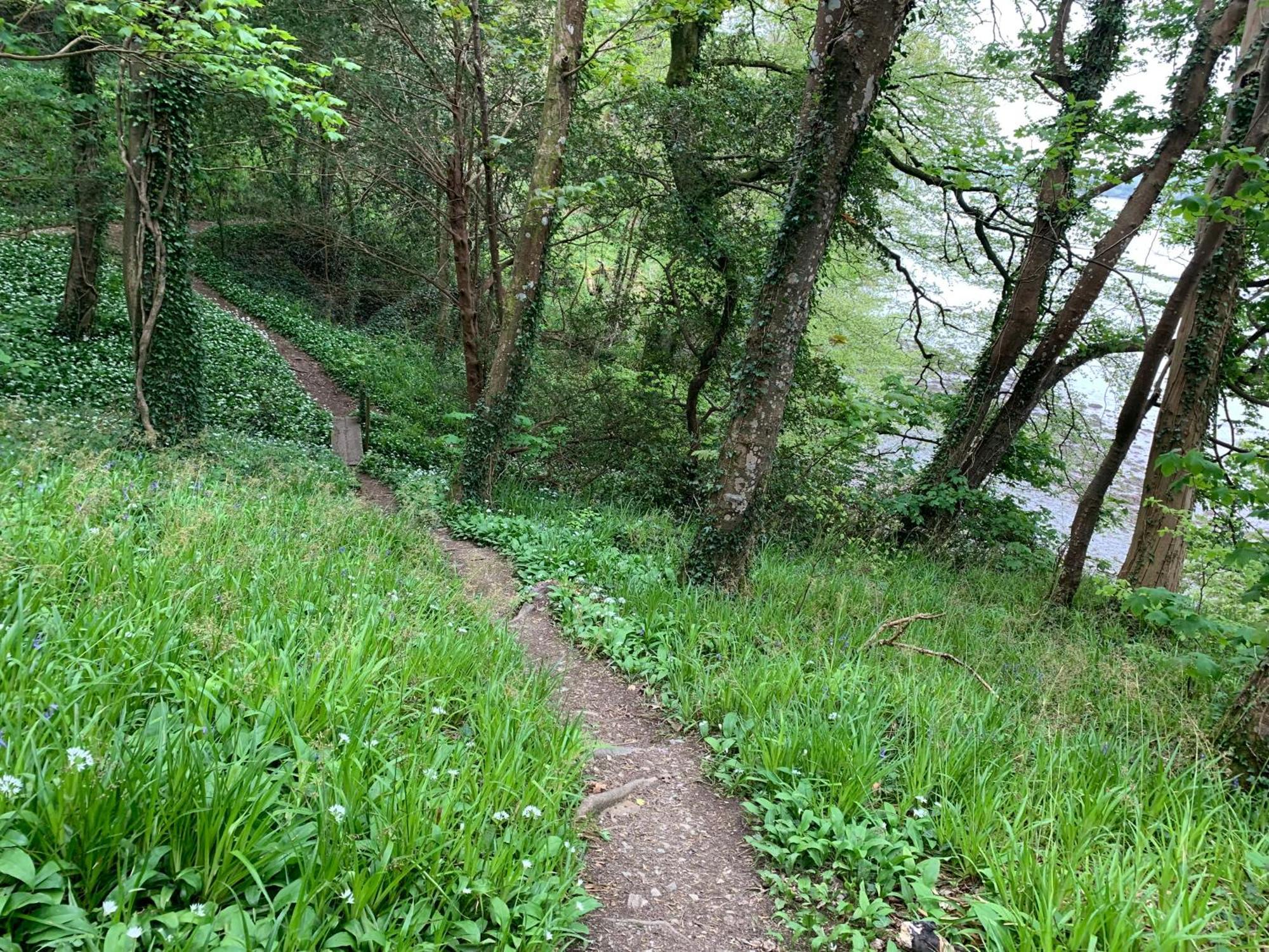 Maristow Cottages, Overlook Tamar Valley Dartmoor بلايموث المظهر الخارجي الصورة