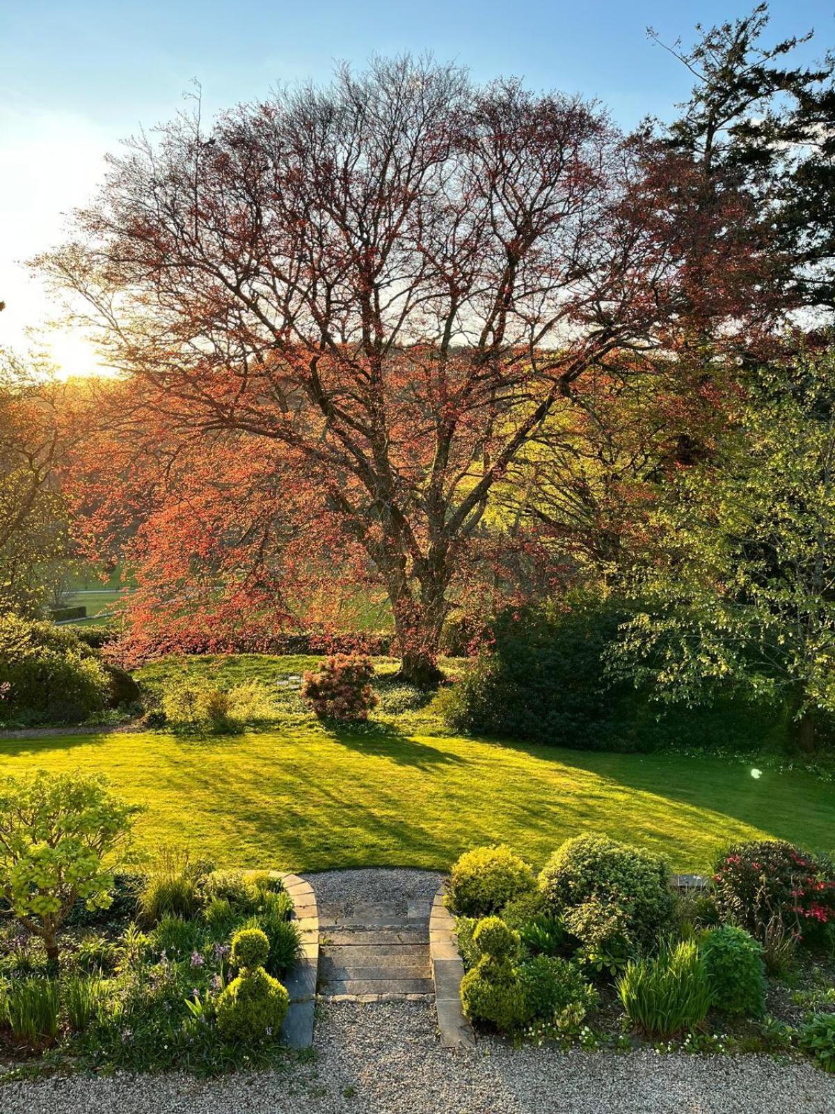 Maristow Cottages, Overlook Tamar Valley Dartmoor بلايموث المظهر الخارجي الصورة